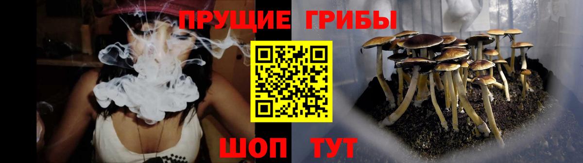 Галлюциногенные грибы прущие грибы  Галлюциногенные грибы Magic Shrooms  Новоалександровск  Вход с VPN 
