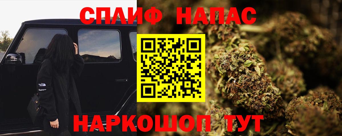 Марихуана семена  Вход с VPN  Марихуана ГИДРОПОН  Новоалександровск  МАРИХУАНА планчик  Каннабис Bruce Banner 